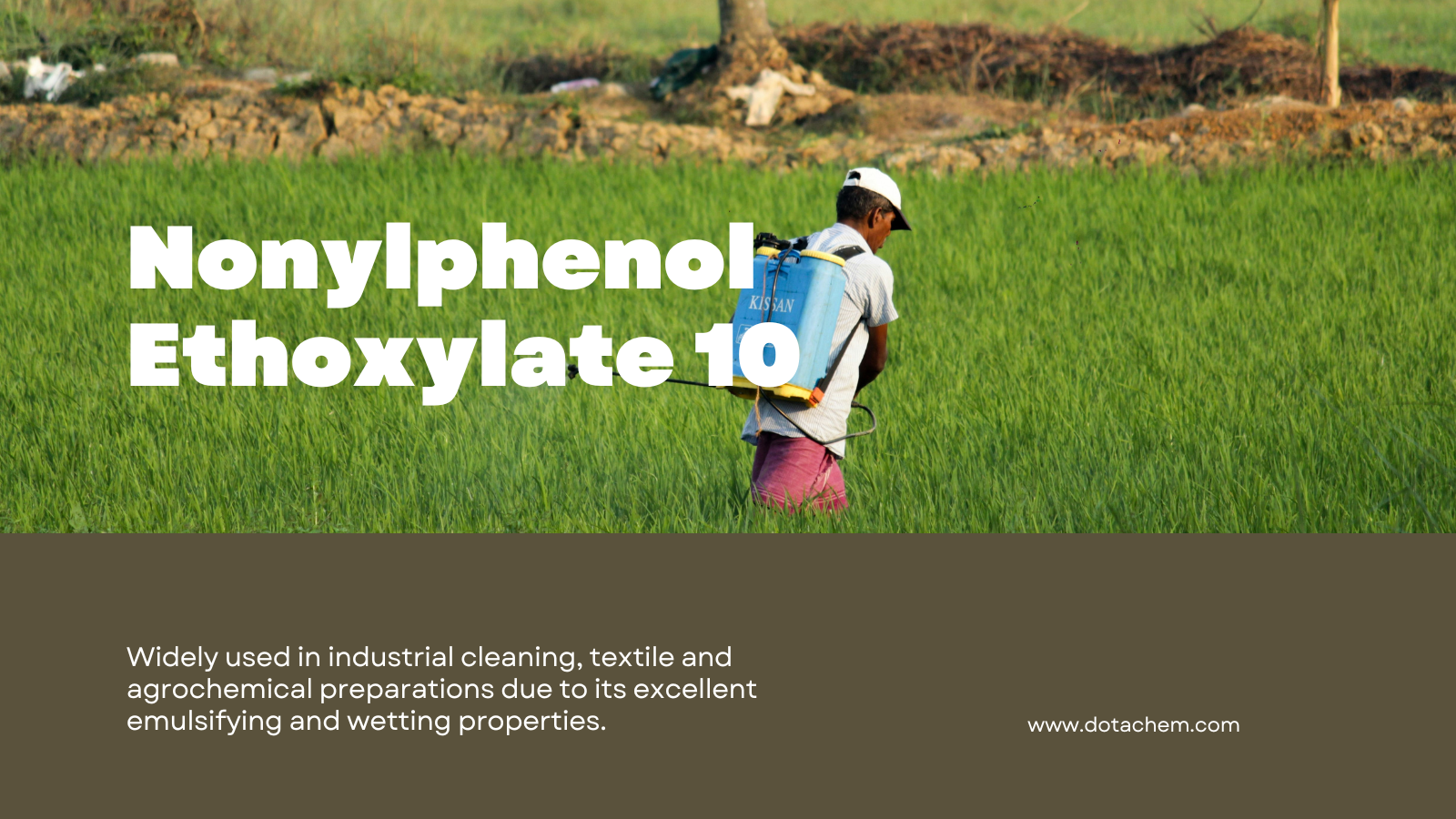 Dotachem International Supply | Професионално ръководство на NPE10: функции, приложения и глобални решения